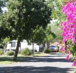 BIG 4 Hay - Lightning Ridge Tourism