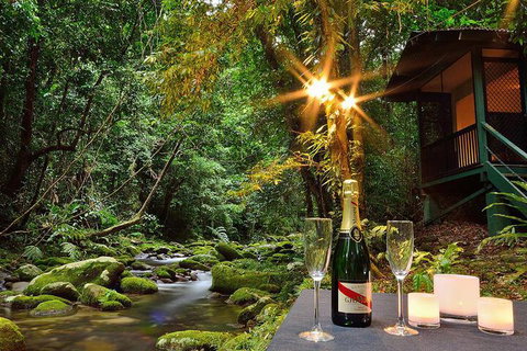 Misty Mountains Rainforest Retreat - Lightning Ridge Tourism 3