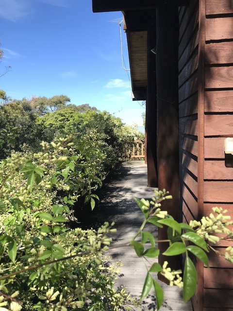 The Goat And Goose B&B - Lightning Ridge Tourism 1