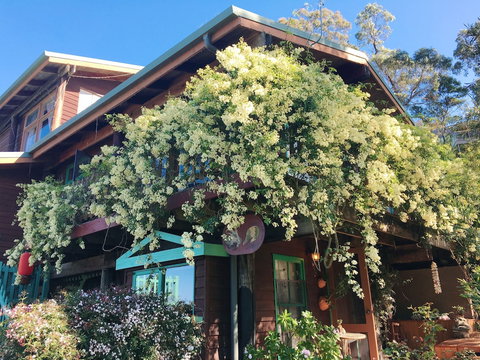 The Goat And Goose B&B - Lightning Ridge Tourism 4