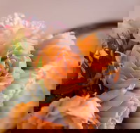 Barossa House - Lightning Ridge Tourism