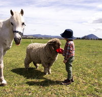 Taras Richmond Farmstay - Lightning Ridge Tourism