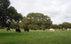 Wenton Farm Holiday Cottages - thumb 4