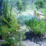 Isseka WA Lightning Ridge Tourism