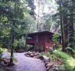 Black Palm Cape Tribulation - Lightning Ridge Tourism