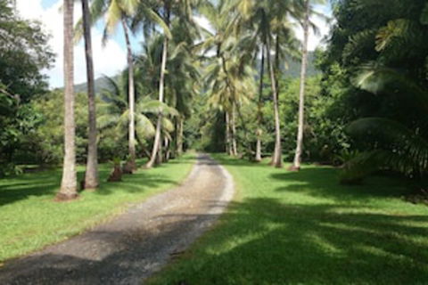 Cape Trib Farmstay - Lightning Ridge Tourism 0