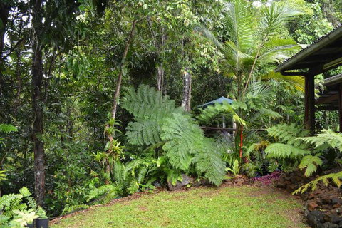 Tropical Bliss Bed & Breakfast - Lightning Ridge Tourism 6