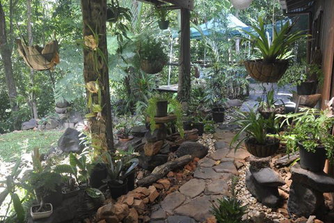 Tropical Bliss Bed & Breakfast - Lightning Ridge Tourism 2