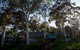 Great Ocean Road Cottages - thumb 1