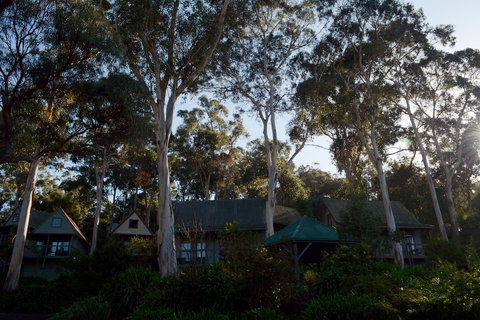 Great Ocean Road Cottages - Lightning Ridge Tourism 1