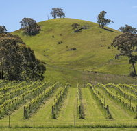 Blue House at Mountainside Wines - Lightning Ridge Tourism