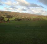 Mancuso Country Cottage Retreat - Lightning Ridge Tourism