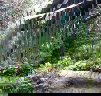 Lemonade Creek Cottages - Lightning Ridge Tourism