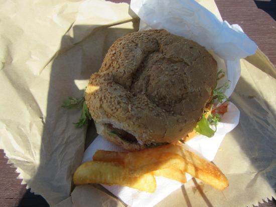 Shell Cove NSW Lightning Ridge Tourism