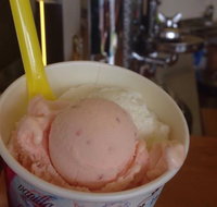 Bermagui Gelati Clinic - Lightning Ridge Tourism