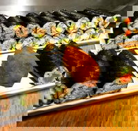 Freewave Sushi  Burgers - Lightning Ridge Tourism