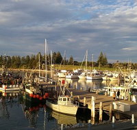 Horse  Camel - Lightning Ridge Tourism