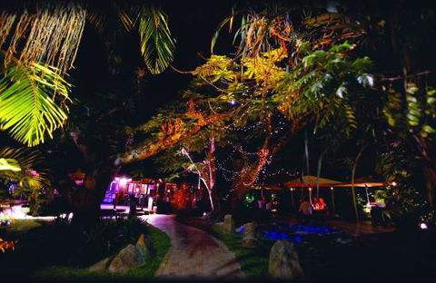 Poinciana - Lightning Ridge Tourism 0