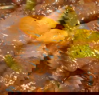 Golden Inn Restaurant - Lightning Ridge Tourism