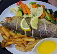 Terracotta - Lightning Ridge Tourism