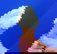 Gelato Papa - Lightning Ridge Tourism