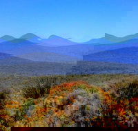 Arcadia Wines - Lightning Ridge Tourism