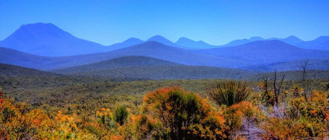 Arcadia Wines - Lightning Ridge Tourism 0