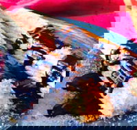 Donut King - Frankston - Lightning Ridge Tourism