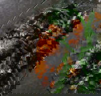 Shukah - Lightning Ridge Tourism