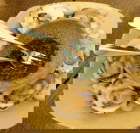 The Cottage Scone - Lightning Ridge Tourism