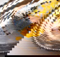 Power Plant - Lightning Ridge Tourism