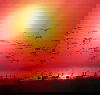 TINH and LAN Vietnamese Restaurant - Lightning Ridge Tourism