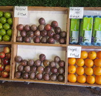 Melonhead - Lightning Ridge Tourism