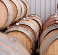 Surveyor's Hill Vineyards - Lightning Ridge Tourism