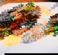 Crystal Dragon - Lightning Ridge Tourism