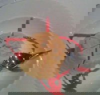 Indian Garden Restaurant - Lightning Ridge Tourism