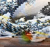 Bamboo Exmouth - Lightning Ridge Tourism