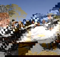 Peppermints Coffee Lounge - Lightning Ridge Tourism