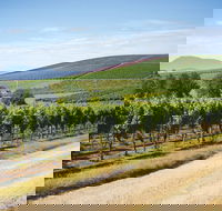 Jansz Tasmania - Lightning Ridge Tourism