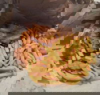 Belmont Village Fish  Chips - Lightning Ridge Tourism