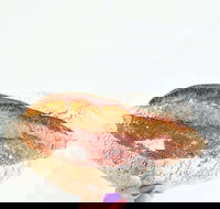 Dolcettini - Castle Hill - Lightning Ridge Tourism