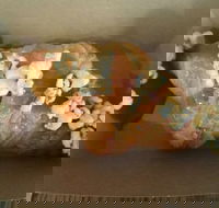 Le Petite Patisserie - Lightning Ridge Tourism