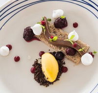 Wild Herring - Lightning Ridge Tourism