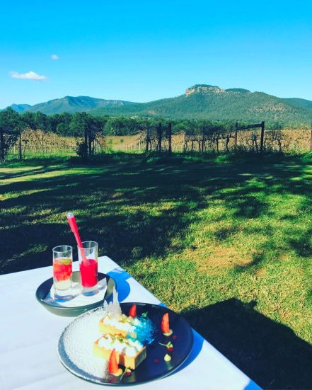 Mount Broke Wines Restaurant - Lightning Ridge Tourism 1
