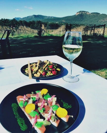 Mount Broke Wines Restaurant - Lightning Ridge Tourism 2