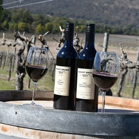 Mount Broke Wines Restaurant - Lightning Ridge Tourism 5