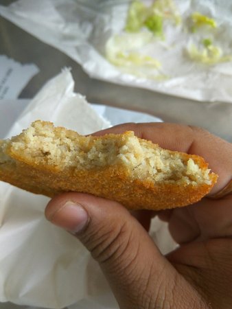 Singleton Chicken Spot - Lightning Ridge Tourism 0