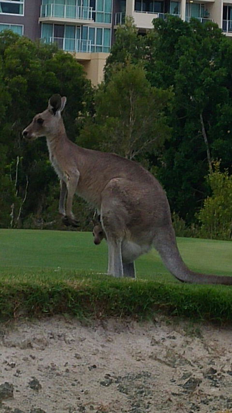 T On Course - Lightning Ridge Tourism 6