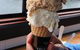 Van Diemens Land Creamery - thumb 3