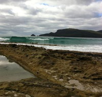 Bruny Island Berry Farm - Lightning Ridge Tourism